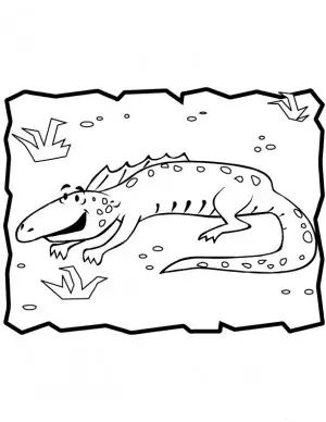 iguana-coloring-page