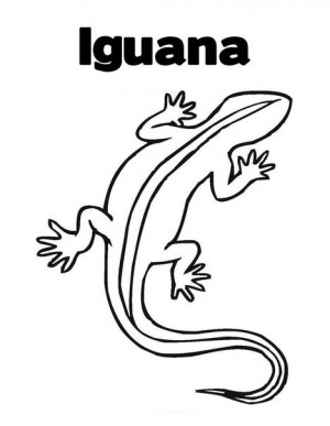 Iguana para colorear