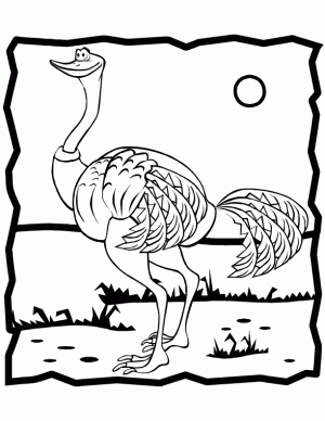 imagen de avestruz para colorear