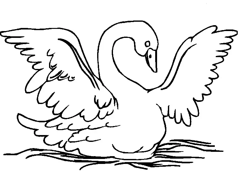 imagen de cisne para colorear