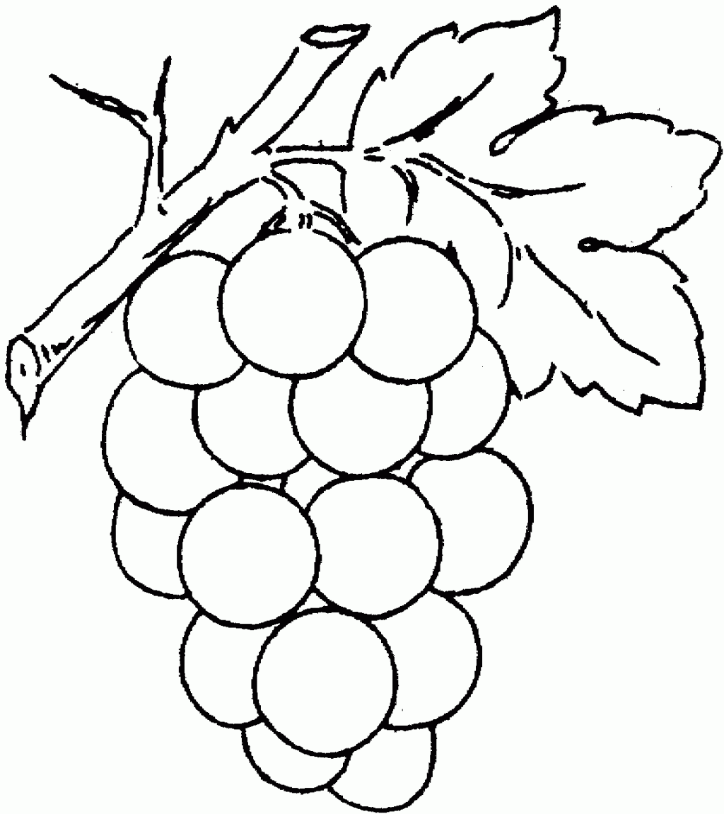 imagen de uvas para colorear