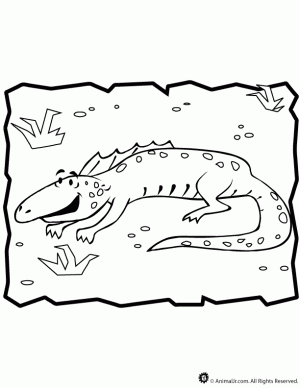 imagen para imprimir de iguana