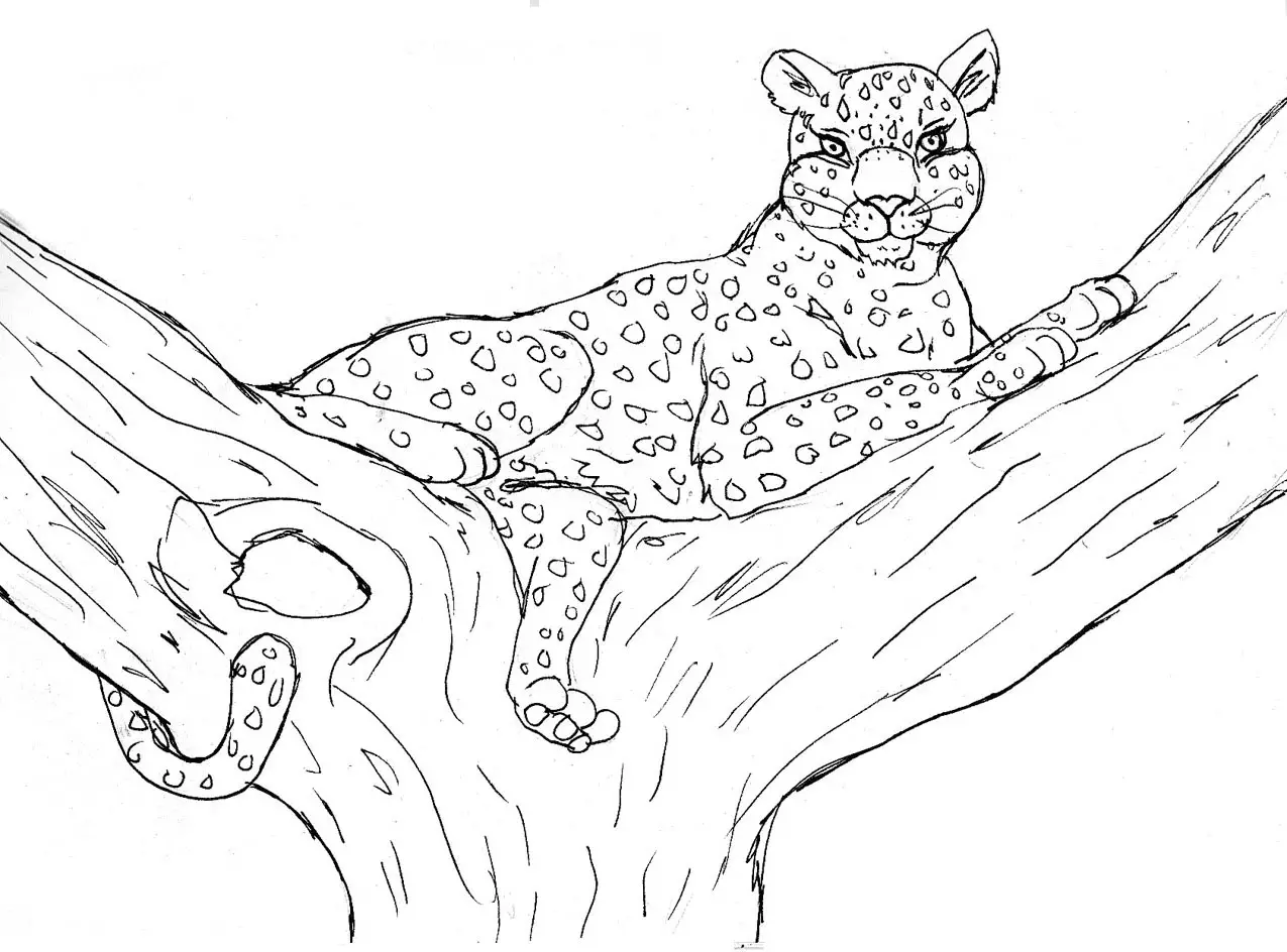 leopardo para pintar