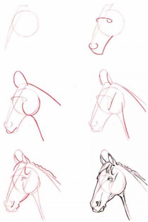 pasos para dibujar un caballo