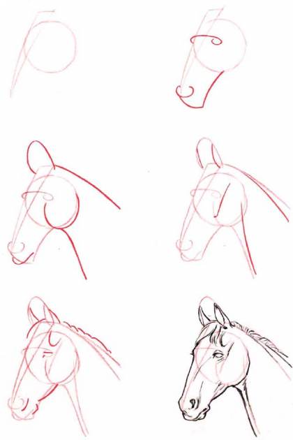 pasos para dibujar un caballo