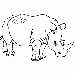 rinoceronte para imprimir