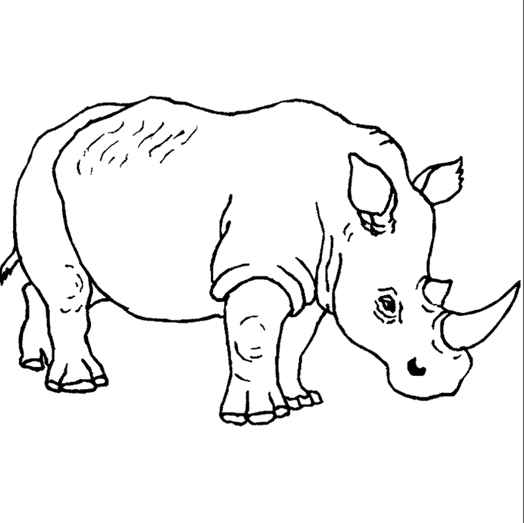 rinoceronte para imprimir