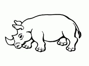 rinoceronte para pintar
