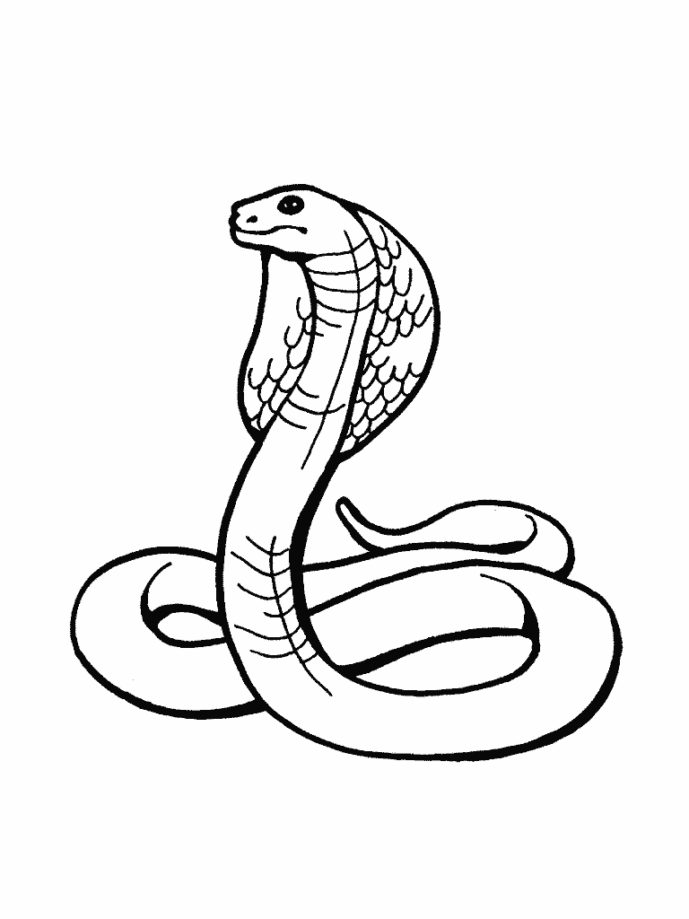 serpientes para colorear