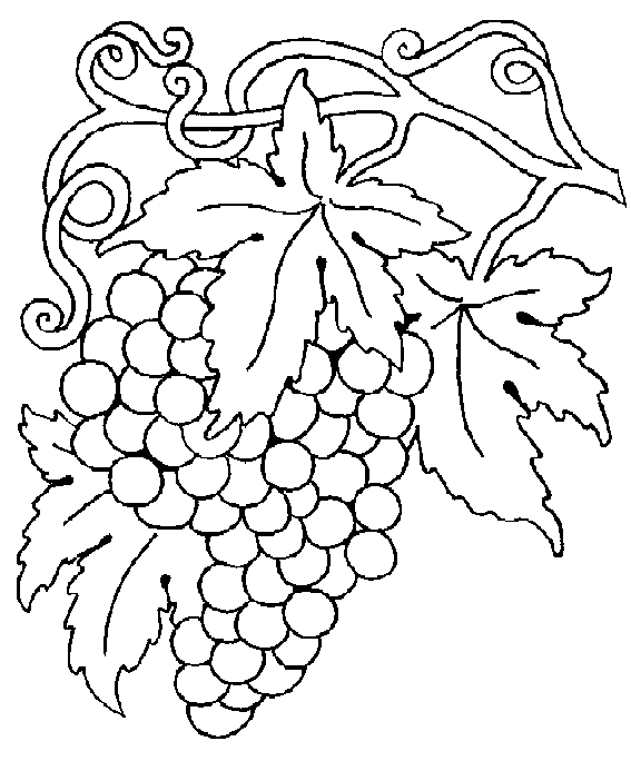 uvas para colorear