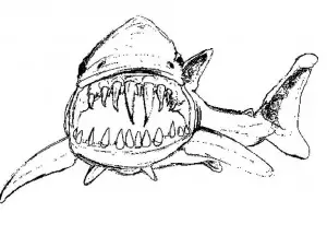 dibujos de tiburones para pintar