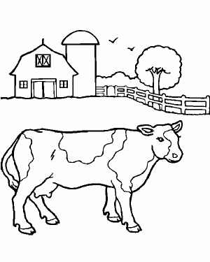 imagen de vaca para colorear
