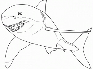 tiburon para dibujar