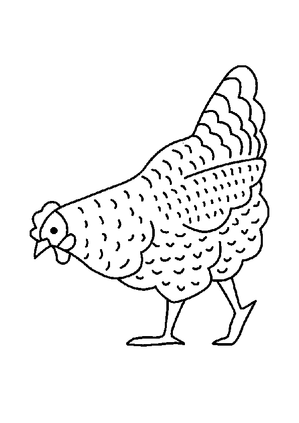 dibujos de gallina para colorear