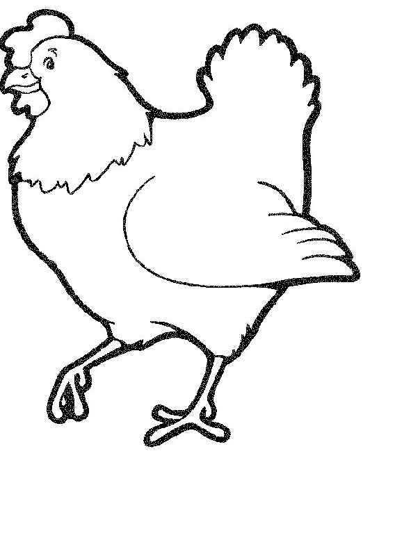 dibujos gallinas imprimir