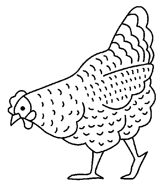 gallinas en dibujos para imprimir