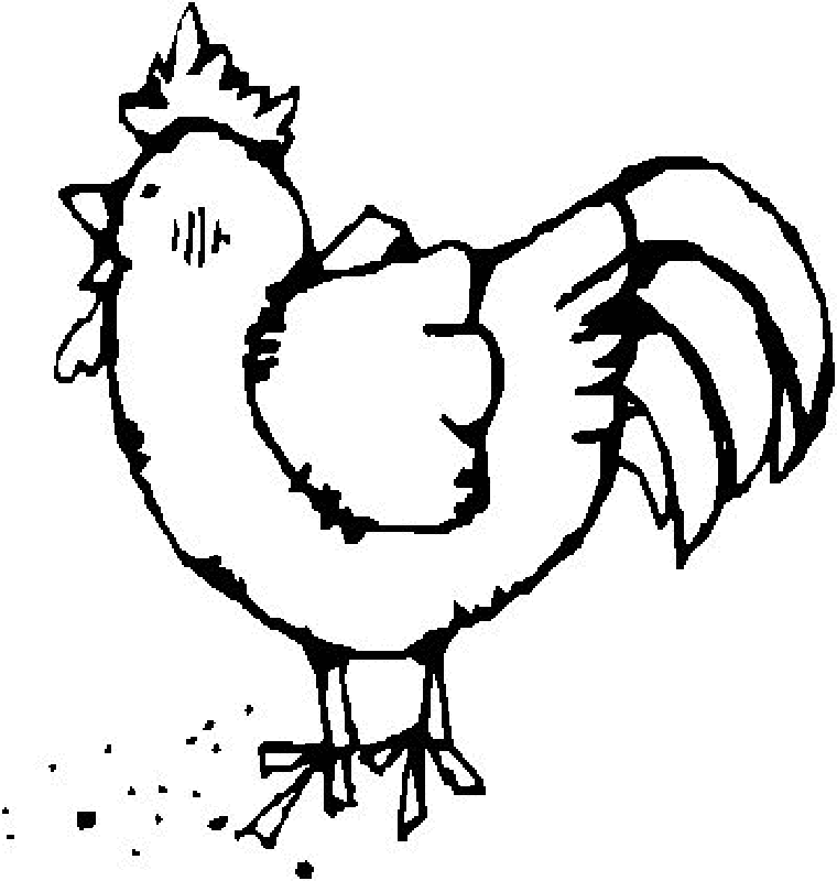 gallinas en dibujos para pintar