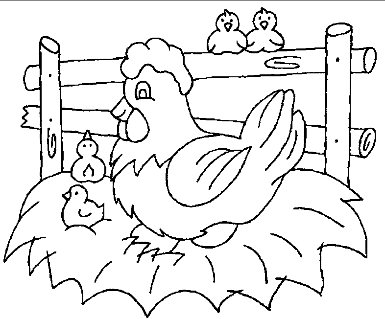 juegos de gallinas para bebes para colorear