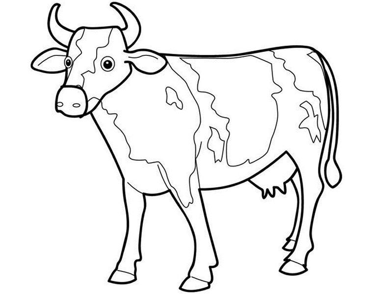 dibujar una vaca