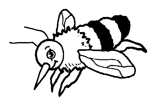dibujo de abejas para colorear