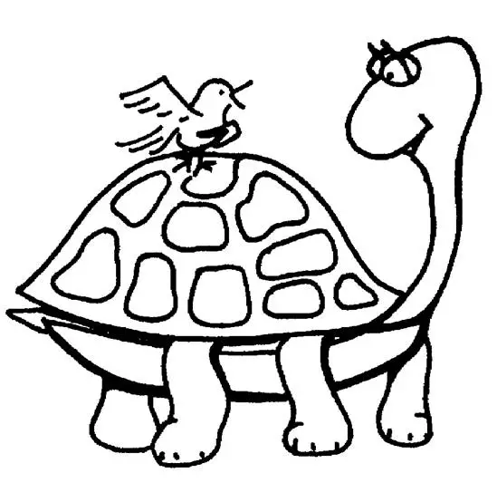 dibujo de una tortuga para colorear