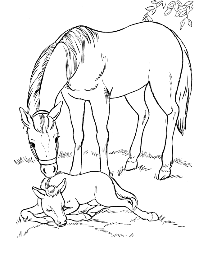 dibujos para colorear caballos