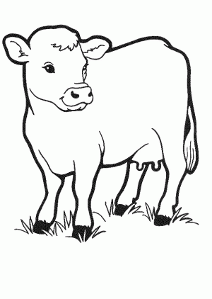 dibujos para colorear de una vaca