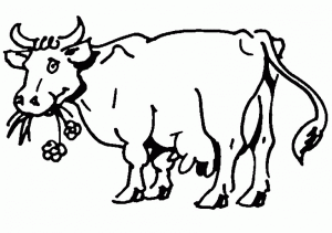 dibujos para colorear de vaca