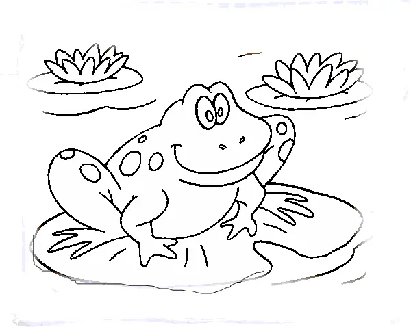 dibujos para colorear rana