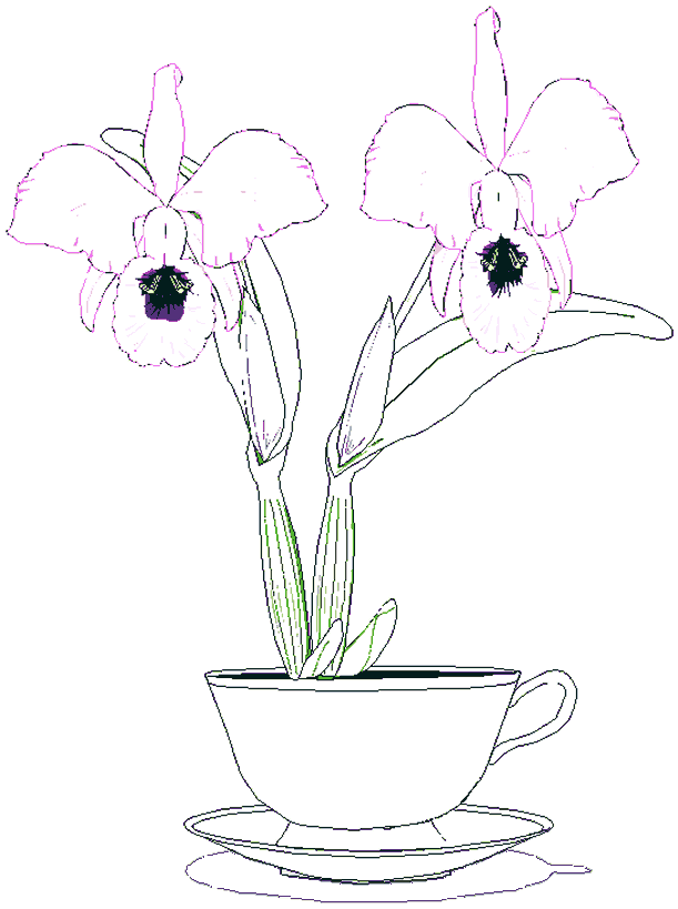 como pintar orquideas