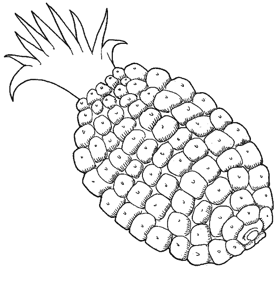 dibujo de una piña para colorear