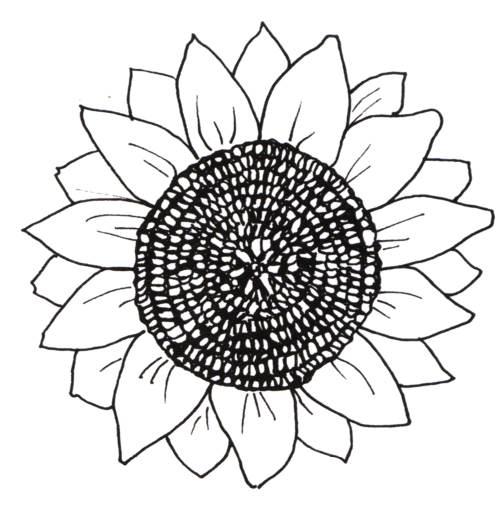 girasol para pintar