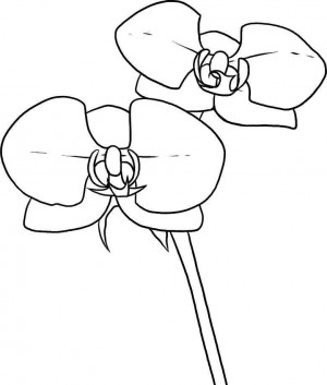 orquideas para colorear