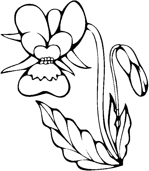 orquideas para pintar