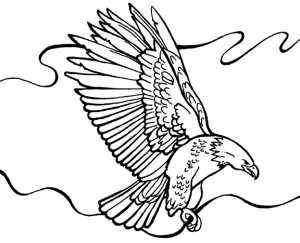 aguila para colorear