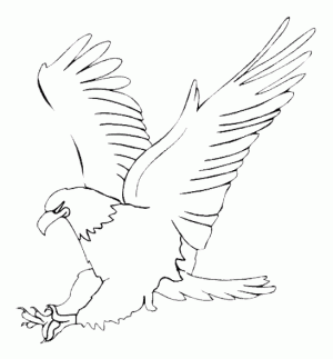 dibujo aguila para colorear