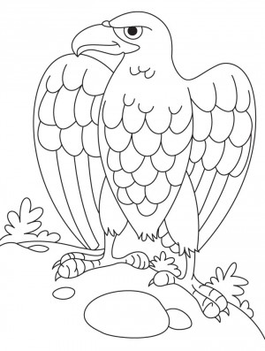 dibujo de aguila para colorear