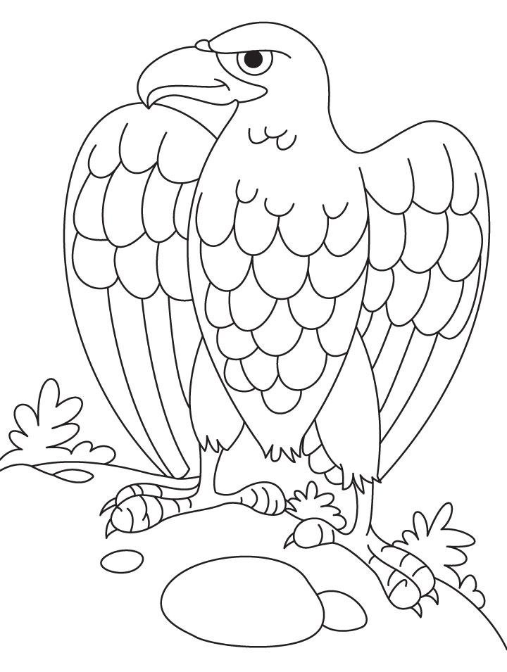 dibujo de aguila para colorear