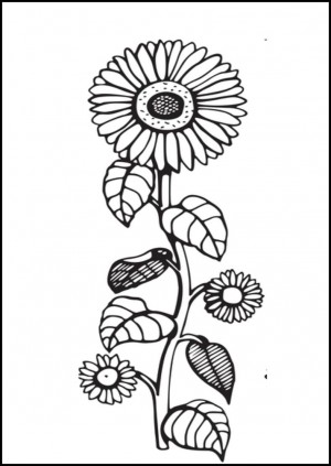 dibujo de un girasol para colorear