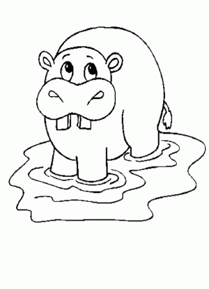 dibujo de un hipopotamo para colorear