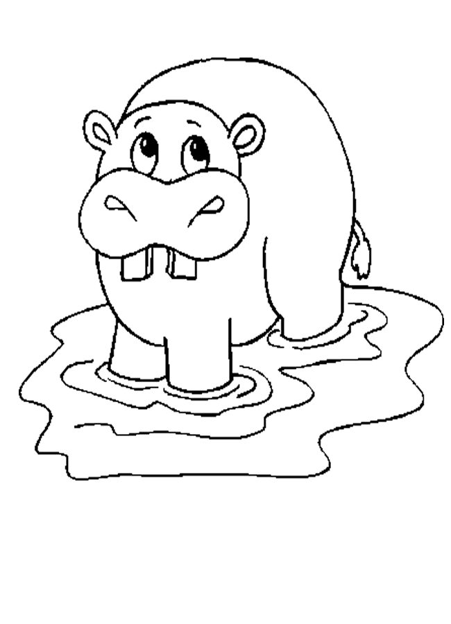 dibujo de un hipopotamo para colorear