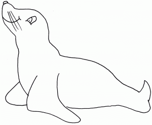 dibujo de una foca para colorear