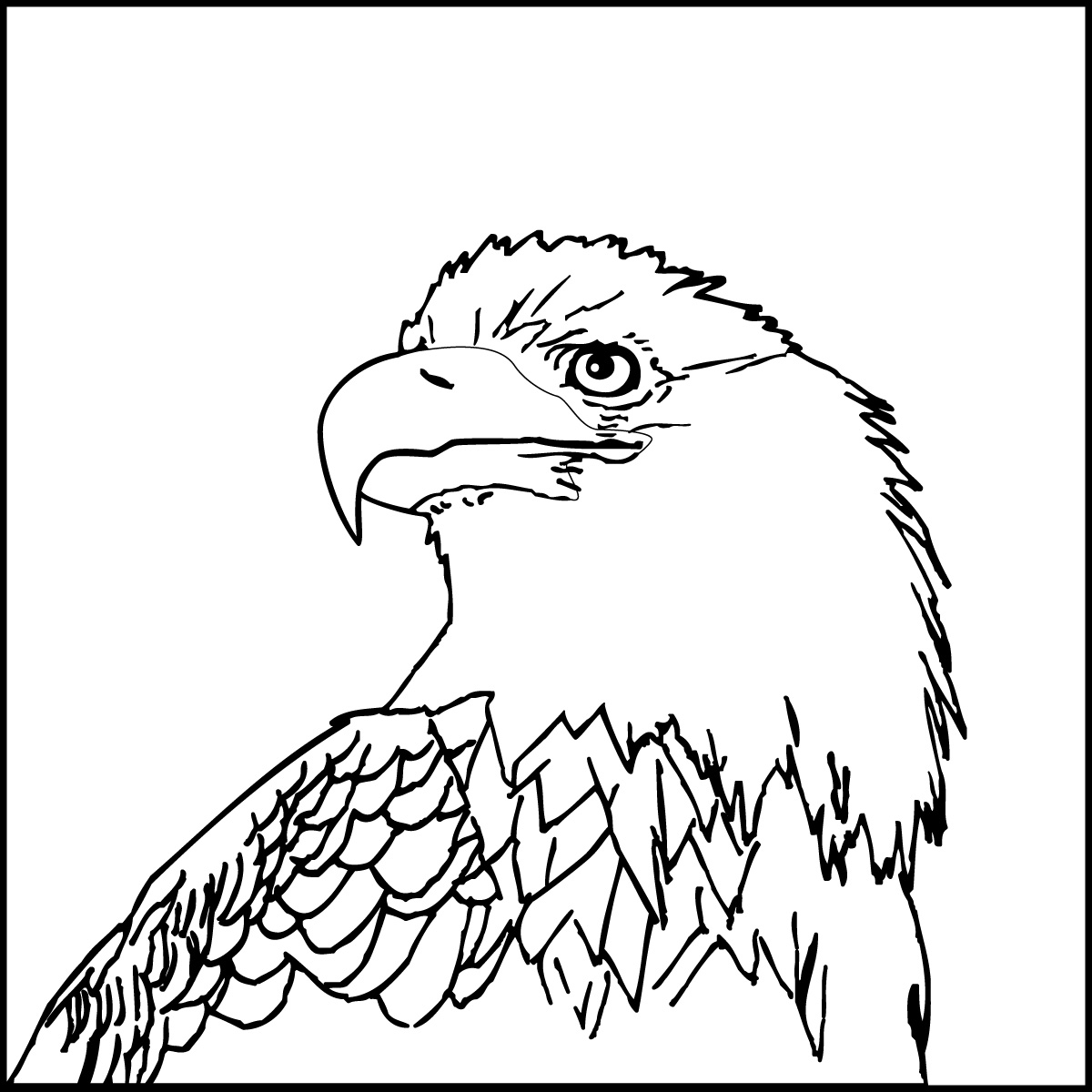 dibujos de aguilas para colorear