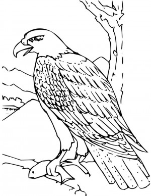 Aguila para colorear