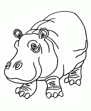 hipopotamos para colorear