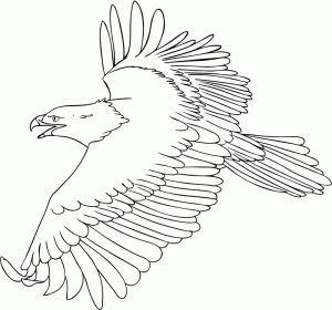 Aguila para colorear