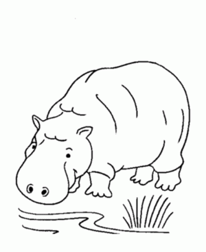 imagenes de hipopotamo para colorear