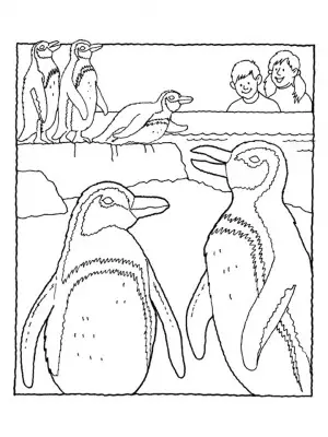 imagenes de pinguinos para colorear