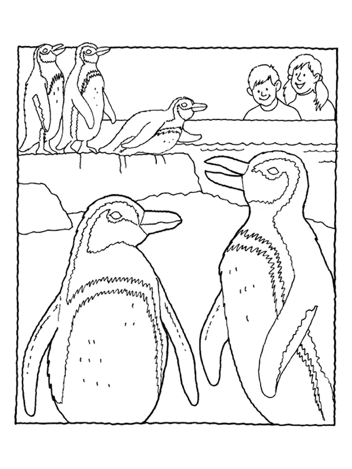 imagenes de pinguinos para colorear