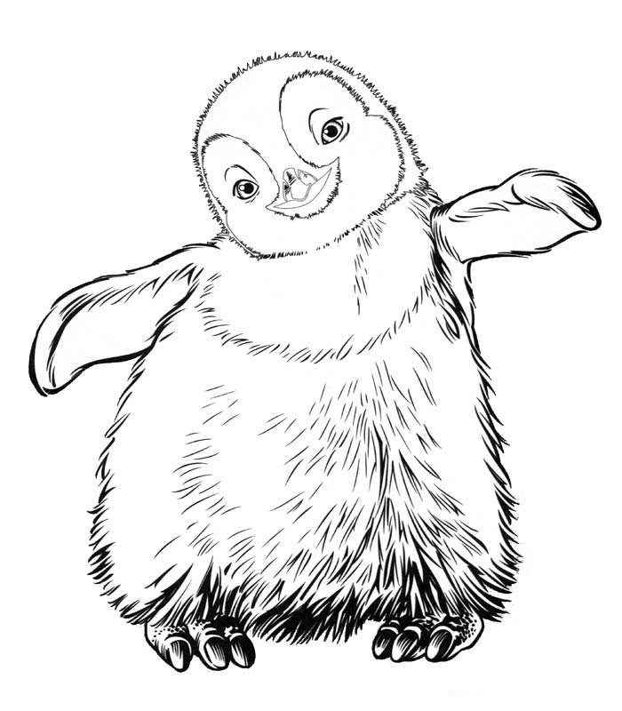 pinguino para colorear